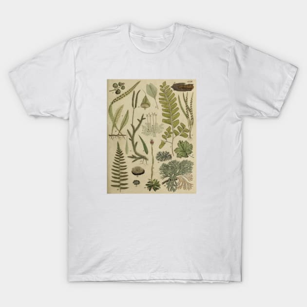 Ferns and Mosses T-Shirt by bluespecsstudio